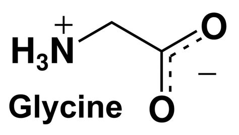 glycine 中文